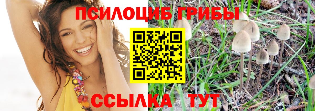 Самара  Псилоцибиновые грибы Magic Shrooms  Вход с VPN  Псилоцибиновые грибы ЛСД 